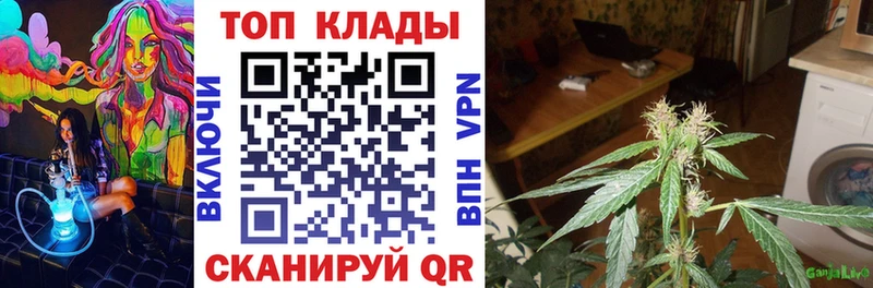 ГАШИШ Ивдель