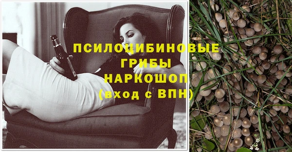 ПСИЛОЦИБИНОВЫЕ ГРИБЫ Аркадак