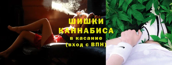 ПСИЛОЦИБИНОВЫЕ ГРИБЫ Аркадак