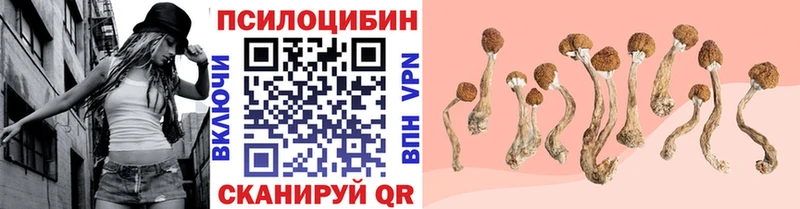 где купить   Ивдель  гидра вход  Галлюциногенные грибы мухоморы 